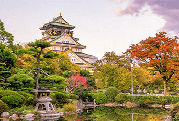 cruceros ríos europeos