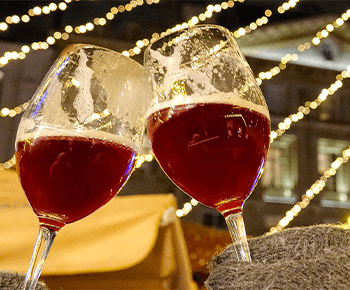 explorador del danubio