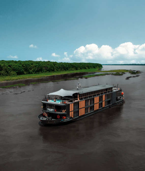 hurtigruten expeditions cruises